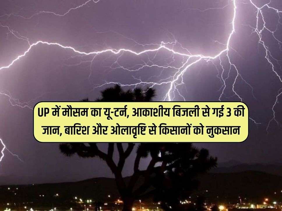 UP में मौसम का यू-टर्न, आकाशीय बिजली से गई 3 की जान, बारिश और ओलावृष्टि से किसानों को नुकसान 