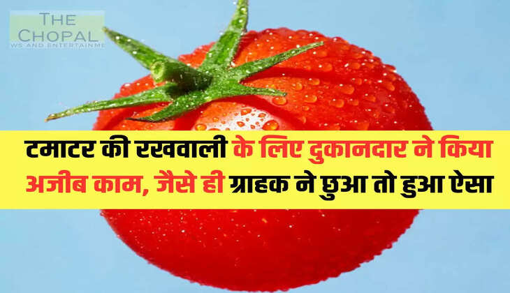 टमाटर की रखवाली के लिए दुकानदार ने किया अजीब काम, जैसे ही ग्राहक ने छुआ तो हुआ ऐसा