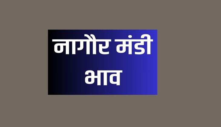नागौर मंडी भाव 30 जनवरी 2024 : ज्वार, जीरा, ईसबगोल, सौफ, मुंग, ग्वार, सरसों, तिल 