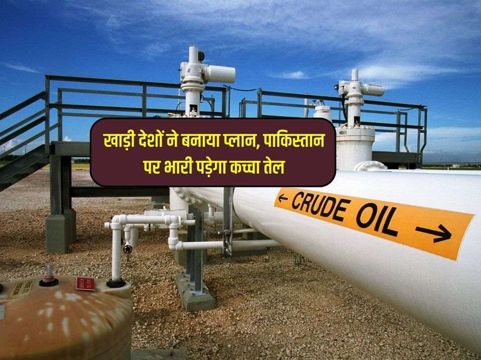 खाड़ी देशों ने बनाया प्लान, पाकिस्तान पर भारी पड़ेगा कच्चा तेल