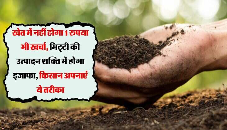 खेत में नहीं होगा 1 रुपया भी खर्चा, मिट्टी की उत्पादन शक्ति में होगा इजाफा, किसान अपनाएं ये तरीका