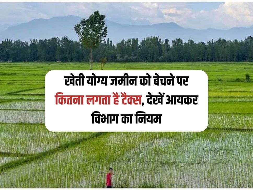 Income Tax : खेती योग्य जमीन को बेचने पर कितना लगता है टैक्स, देखें आयकर विभाग का नियम 