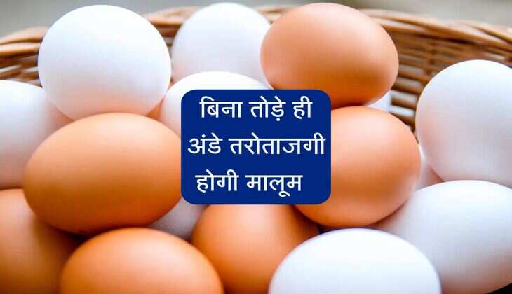 बिना तोड़े ही अंडे तरोताजगी होगी मालूम, खराब अंडा बिगाड़ देगा आपकी डिशेज का स्वाद  