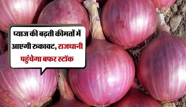 Onion Price: प्याज की बढ़ती कीमतों में आएगी रुकावट, राजधानी पहुंचेगा बफर स्‍टॉक