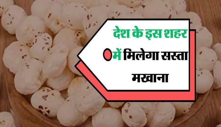 देश के इस शहर में मिलेगा सस्ता मखाना, थोड़े से पैसे में भर जाएगा बोरा 