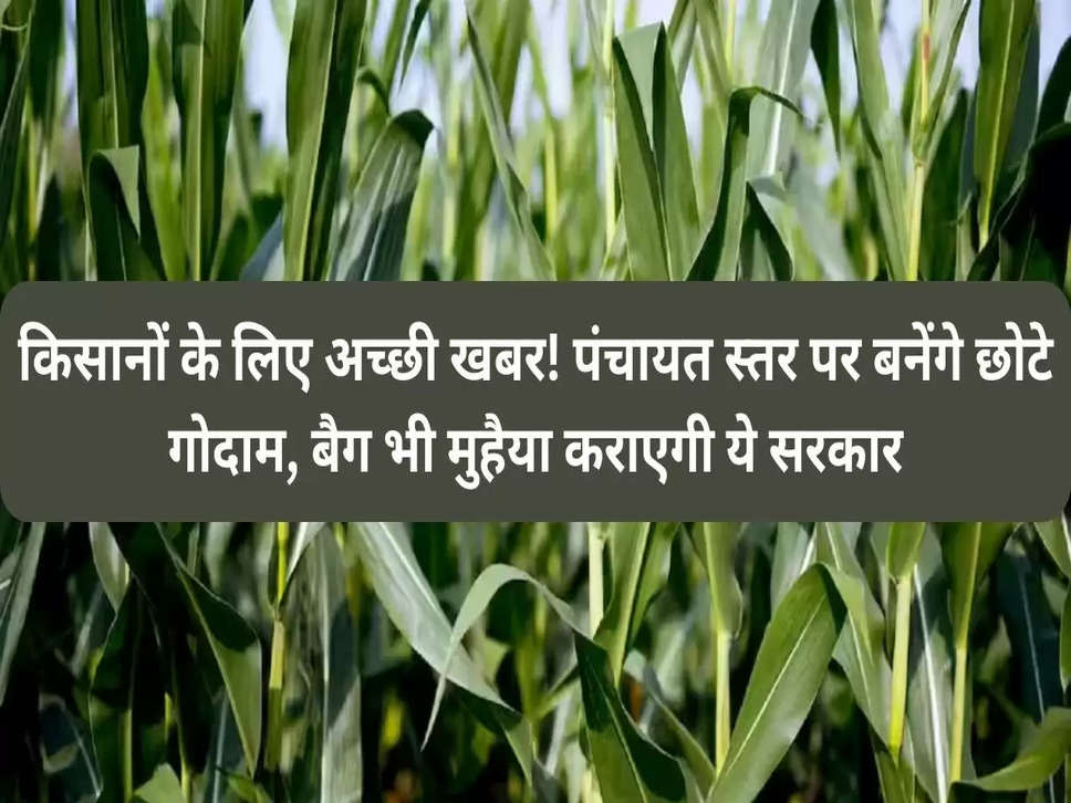 किसानों के लिए अच्छी खबर! पंचायत स्तर पर बनेंगे छोटे गोदाम, बैग भी मुहैया कराएगी ये सरकार