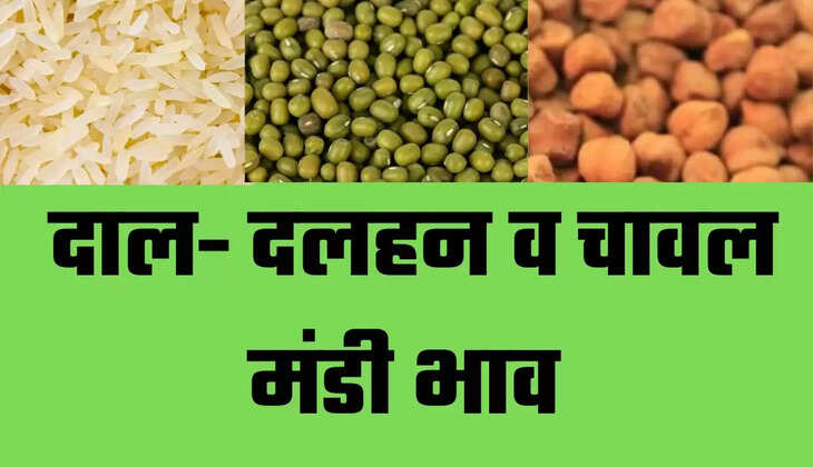 Indore Dal Mandi Bhav, Indore Mandi News, Indore Dal Mandi Bhav, Indore Mandi Bhav Today, Indore News, Pulses in Indore, Toor Dal price in Indore, Moong Dal rate in Indore, Chana Dal price in Indore, MP Dal Mandi, इंदौर मंडी समाचार, इंदौर मंडी भाव, इंदौर में दालों का रेट, इंदौर समाचार, मध्य प्रदेश समाचार,indore, madhya-pradesh, hindi news,