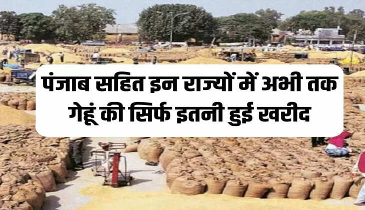 "Wheat procurement, Relaxation in wheat procurement, Relaxation in wheat procurement rules, Wheat procurement in Punjab, Wheat procurement in Haryana till April 13, Agriculture News, Agriculture News Hindi, गेहूं खरीद, गेहूं खरीद में ढील, गेहूं खरीद के नियमों में ढील, पंजाब में गेहूं खरीद, हरियाण में 13 अप्रैल तक गेहूं की खरीद, कृषि न्यूज, कृषि न्यूज हिन्दी"