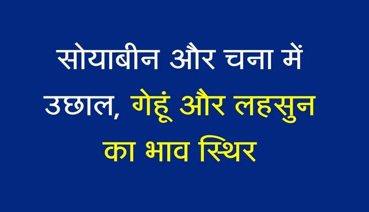 Kota Mandi ka Bhav: सोयाबीन और चना में उछाल, गेहूं और लहसुन का भाव स्थिर