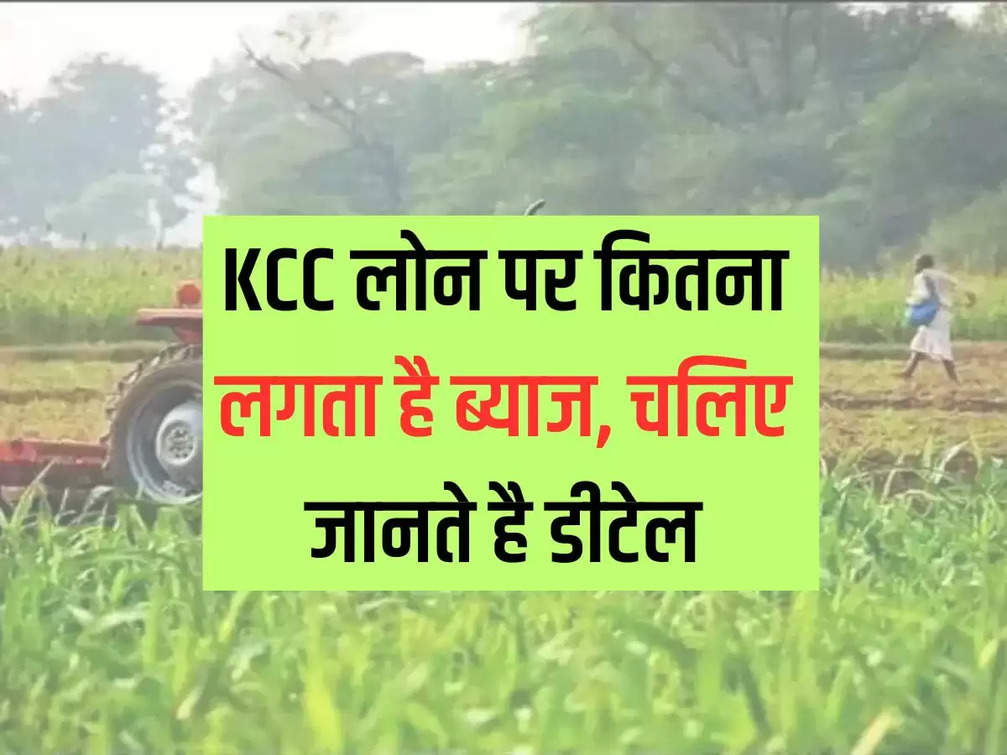 How much interest is charged on KCC loan, let's know the details