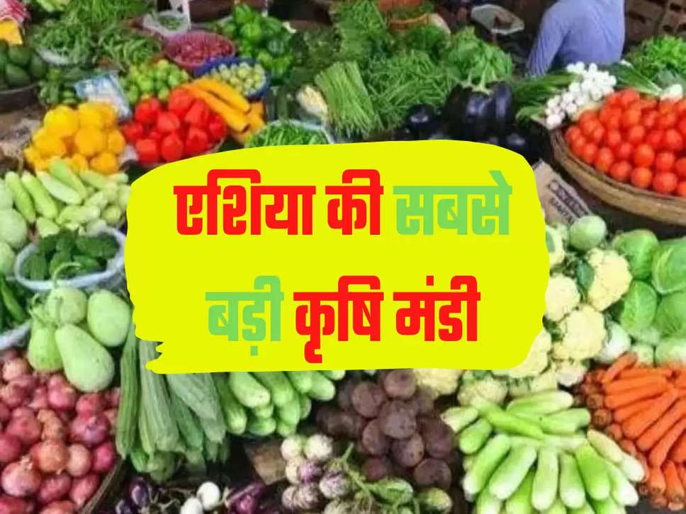 एशिया की सबसे बड़ी कृषि मंडी