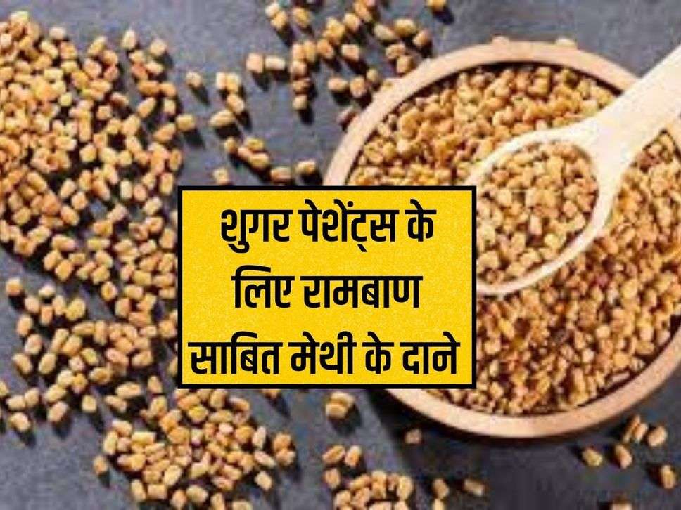 Fenugreek seeds prove to be a panacea for sugar patients, know