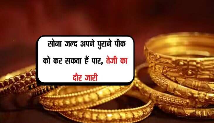  Gold Rate: सोना जल्द अपने पुराने पीक को कर सकता हैं पार,तेजी का दौर जारी