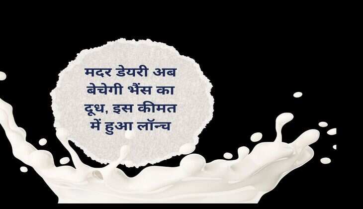 मदर डेयरी अब बेचेगी भैंस का दूध, इस कीमत में हुआ लॉन्च