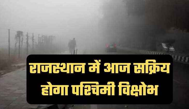 Rajasthan weather alert, Rajasthan weather update, Rajasthan weather news, severe winter in Rajasthan, Rajasthan weather condition, Rajasthan weather latest news, Rajasthan weather news, severe cold wave in Rajasthan, Rajasthan shook due to severe cold wave , Jaipur News, Jaipur weather news, rajasthan newsराजस्थान मौसम अलर्ट, राजस्थान मौसम अपडेट, राजस्थान मौसम समाचार, राजस्थान में कड़ाके की सर्दी, राजस्थान के मौसम का हाल, राजस्थान मौसम ताजा समाचार, राजस्थान मौसम न्यूज, राजस्थान में सीवियर कोल्ड वेव, सीवियर कोल्ड वेव से कांपा राजस्थान, जयपुर समाचार, जयपुर मौसम समाचर, राजस्थान समाचार