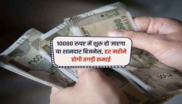 Business Idea : 10000 रुपए में शुरू हो जाएगा या शानदार बिजनेस, हर महीने होगी तगड़ी कमाई