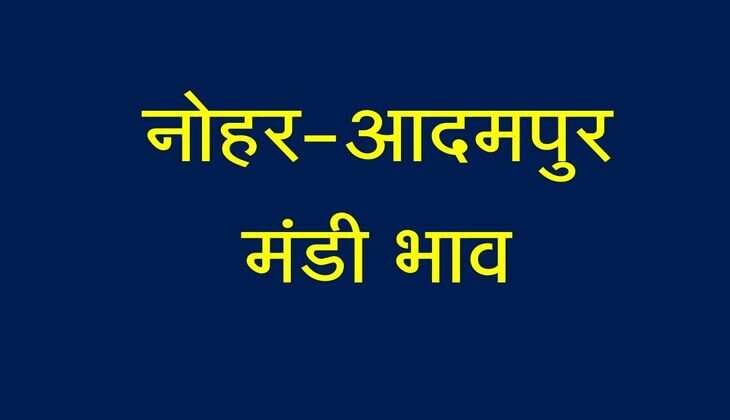 नोहर-आदमपुर मंडी भाव: ग्वार, नरमा, मुंग, चना, गेहूं, सरसों, तारामीरा के भाव पढ़िए