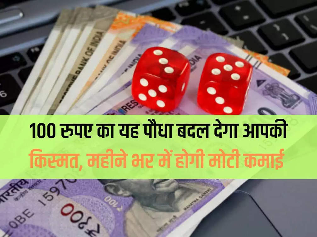 This plant worth Rs 100 will change your luck, you will earn big money within a month