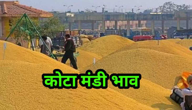 Kota Mandi Bhav 15 January 2022