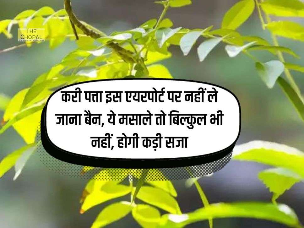 करी पत्ता इस एयरपोर्ट पर नहीं ले जाना बैन, ये मसाले तो बिल्कुल भी नहीं, होगी कड़ी सजा