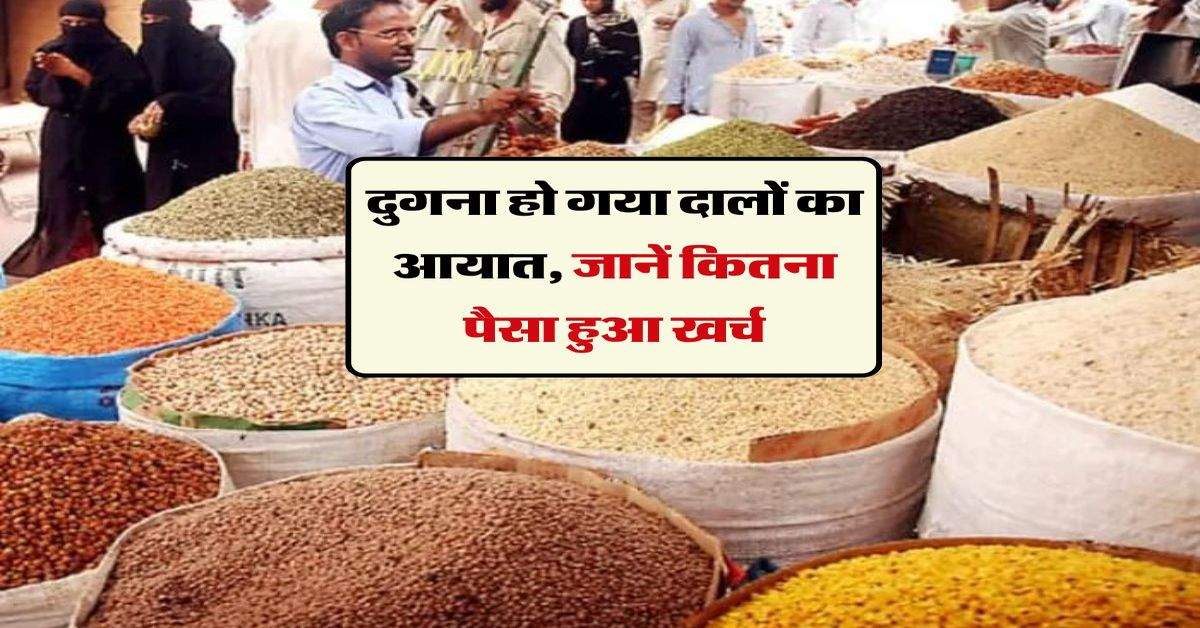 Pulses Import: दुगना हो गया दालों का आयात, जानें कितना पैसा हुआ खर्च