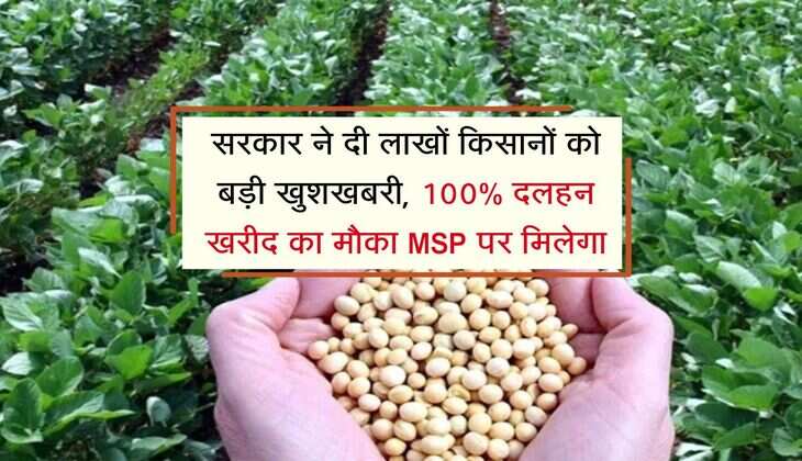 MSP for farmers: सरकार ने दी लाखों किसानों को बड़ी खुशखबरी, 100% दलहन खरीद का मौका MSP पर मिलेगा