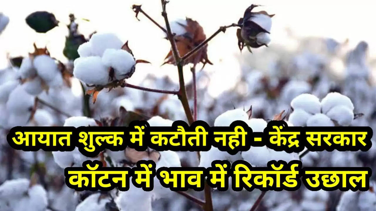 Cotton price reached record high