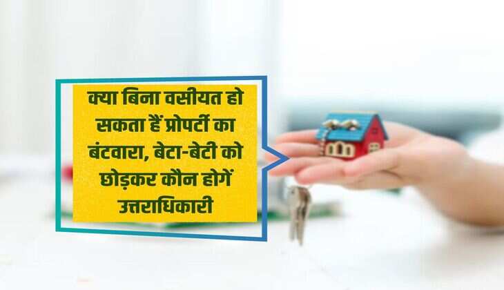 Succession Act: Can property be divided without a will, who will be the heirs except son and daughter?