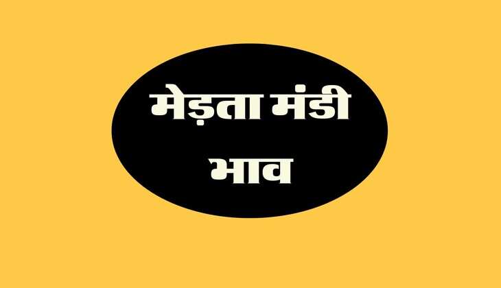 मेड़ता मंडी भाव 13 जून 2024: जीरा में हल्की तेजी, जानिए सौंफ, इसबगोल, तारामीरा, ग्वार इत्यादि सभी भाव