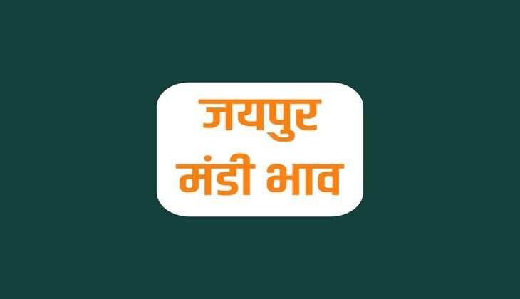 जयपुर मंडी भाव 3 मार्च 2024 : गेहूं, सरसों, बाजरा, मोठ, ग्वार, चना और मूंग समेत सभी कृषि फसलों के रेट जानें