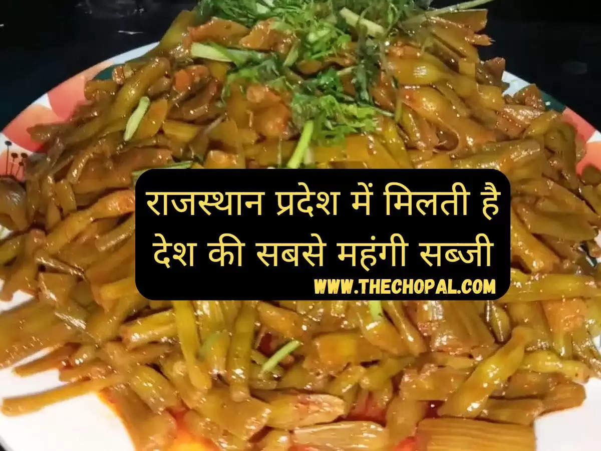 Sangri's vegetable, price of Sangri, benefits of Sangri, how to make Sangri's vegetable, Rajasthan, Rajasthan's vegetable, most expensive vegetable, price of Sangri vegetable,सांगरी की सब्जी, सांगरी की कीमत, सांगरी के फायदे, सांगरी की सब्जी कैसे बनाएं, राजस्थान, राजस्थान की सब्जी, सबसे महंगी सब्जी, सांगरी सब्जी की कीमत"
