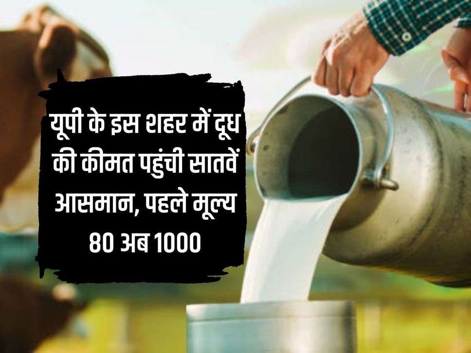 UP News: The price of milk reached the seventh sky in this city of UP, earlier the price was Rs 80, now it is Rs 1000.