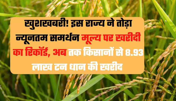 Paddy procurement in Telangana, 8.93 lakh tonnes of paddy procurement in Telangana, Agriculture News Telangana, Agriculture News, Agriculture News Hindi, Agriculture Society, तेलंगाना में धान की खरीद, तेलंगाना में 8.93 लाख टन धान की खरीद, कृषि न्यूज तेलंगाना, कृषि न्यूज, कृषि न्यूज हिन्दी, कृषि समाजार