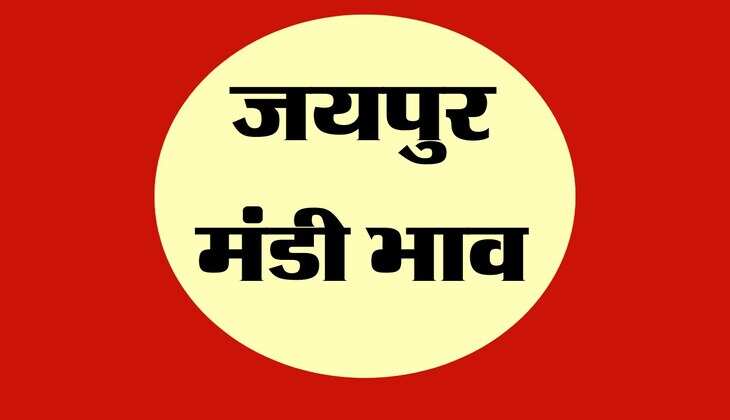 जयपुर मंडी भाव: त्यौहारों के दौर में भी सरसों का भाव स्थिर, ग्वार, बाजरा भी हुए मंदे