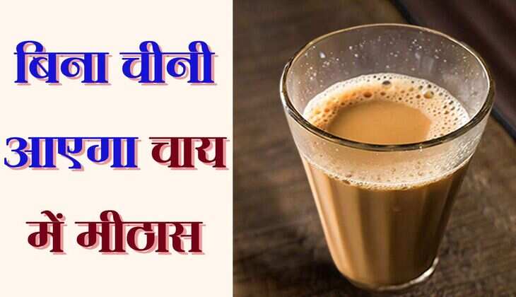 Cooking Tip: बिना चीनी आएगा चाय में मीठास, इन हेल्दी तरीकों को जानकर आप भी कहेंगे वाह 