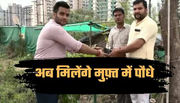 tree bank, tree bank opened in ghaziabad, tree bank opened in noida, tree bank opened by two friends, specialty of tree bank, agriculture news, agriculture news hindi, ट्री बैंक, गाजियाबाद में खुला ट्री बैंक, नोएडा में खुला ट्री बैंक, दो दोस्तों ने खोला ट्री बैंक, ट्री बैंक की खासियत, कृषि न्यूज, कृषि न्यूज हिन्दी