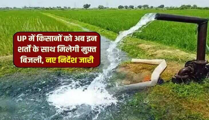 UP में किसानों को अब इन शर्तों के साथ मिलेगी मुफ़्त बिजली, नए निर्देश जारी 