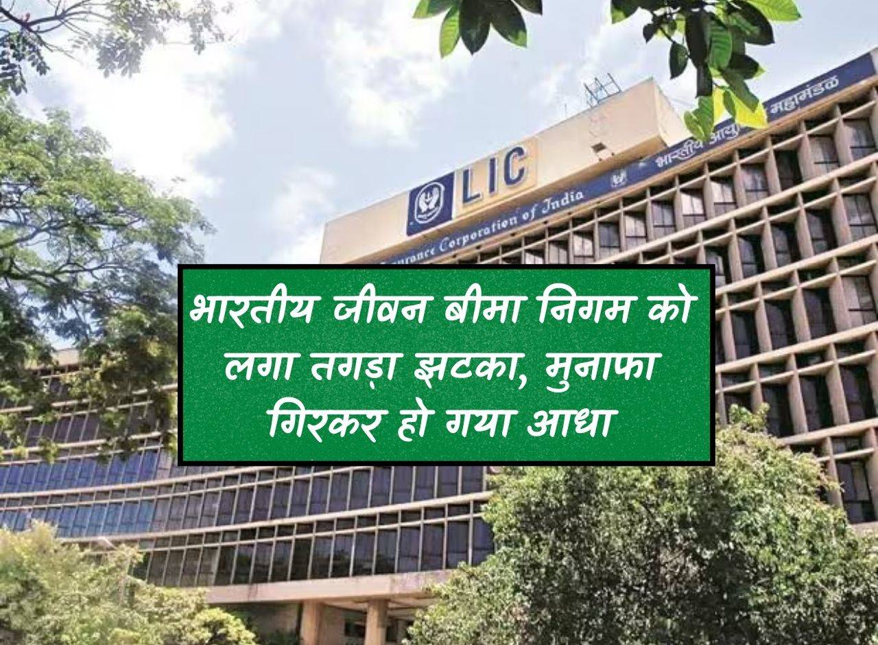 Life Insurance Corporation of India suffered a major blow, profits fell to half.