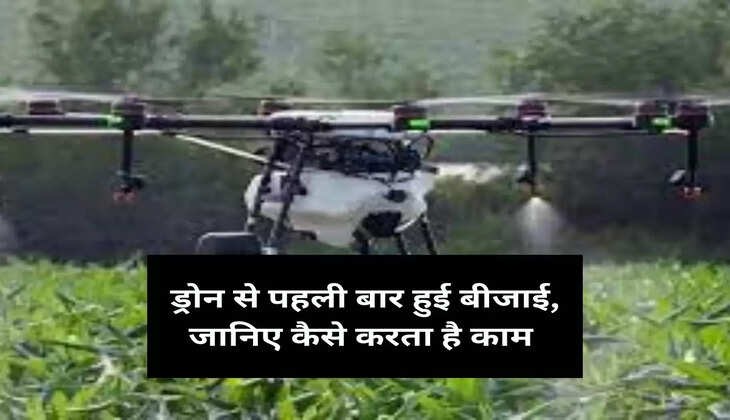 ड्रोन से पहली बार हुई बीजाई, जानिए कैसे करता है काम 