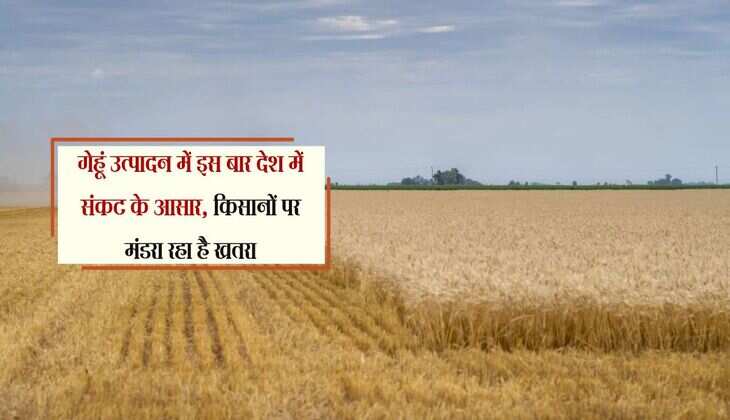 गेहूं उत्पादन में इस बार देश में संकट के आसार, किसानों पर मंडरा रहा है खतरा