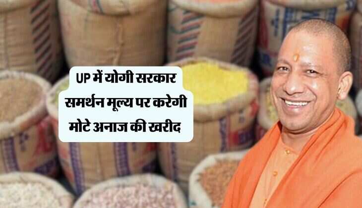 UP में योगी सरकार समर्थन मूल्य पर करेगी मोटे अनाज की खरीद, रजिस्ट्रेशन प्रक्रिया हुई शुरू 