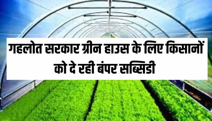 गहलोत सरकार ग्रीन हाउस के लिए किसानों को दे रही बंपर सब्सिडी 
