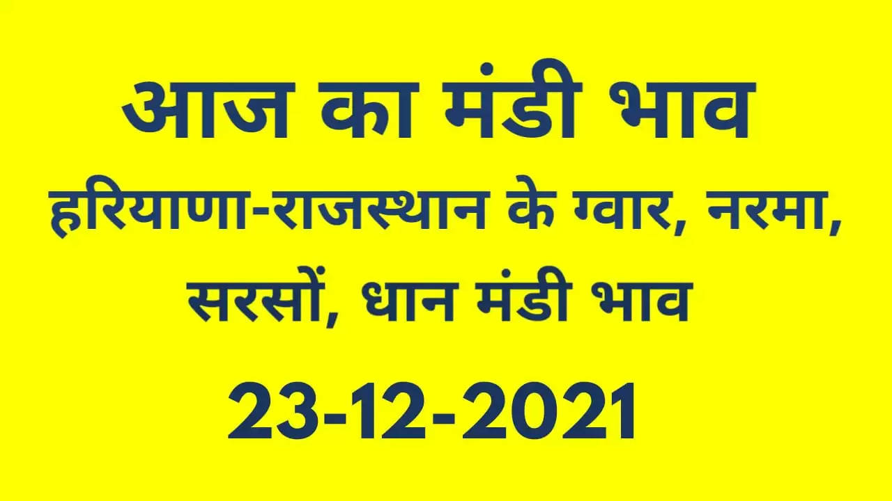 Nohar Adampur Mandi Bhav 23 December 2021