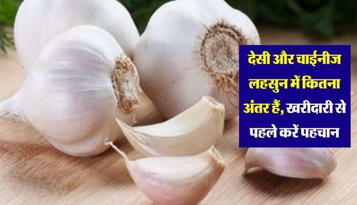 देसी और चाईनीज लहसुन में कितना अंतर हैं, खरीदारी से पहले करें पहचान