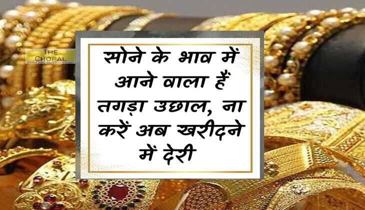 Gold Price Today: There is going to be a huge rise in the price of gold, do not delay in buying now