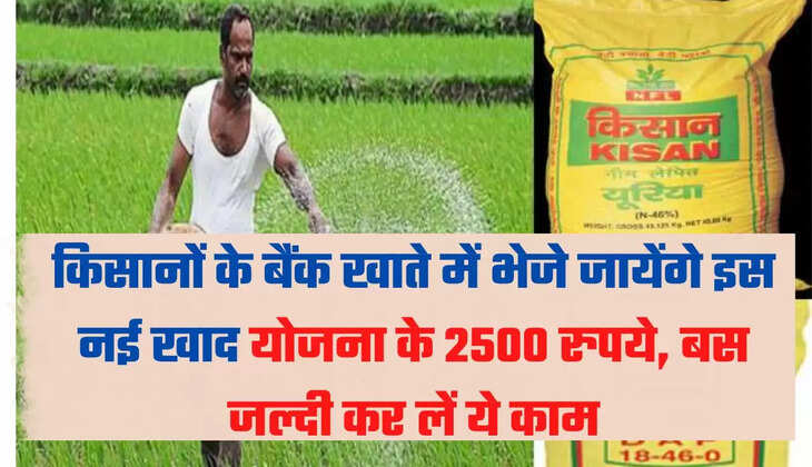Agriculture Scheme, Fertilizer, Rabi season 2022, PM Kisan Khad Yojana, PM Kisan fertilizer Scheme, PM Kisan Scheme, 