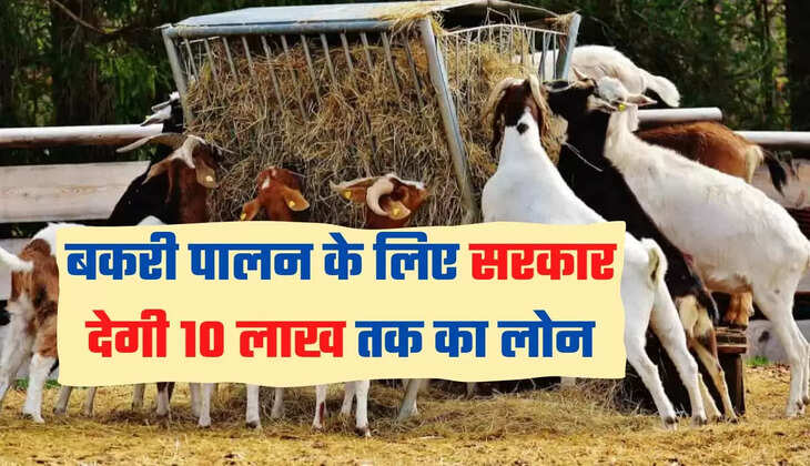 बकरी पालन के लिए सरकार देगी 10 लाख तक का लोन