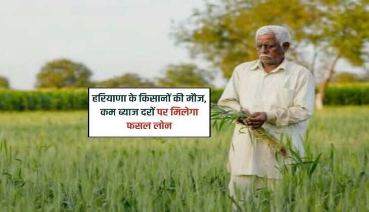 हरियाणा के किसानों की मौज, कम ब्याज दरों पर मिलेगा फसल लोन