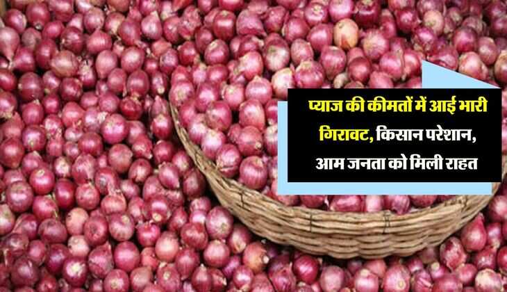 प्याज की कीमतों में आई भारी गिरावट, किसान परेशान, आम जनता को मिली राहत 