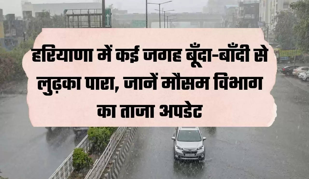 "haryana news, haryana news in hindi, haryana weather, haryana weather alert, haryana weather update, हरियाणा समाचार, हरियाणा न्यूज, हरियाणा में मौसम, हरियाणा बारिश"